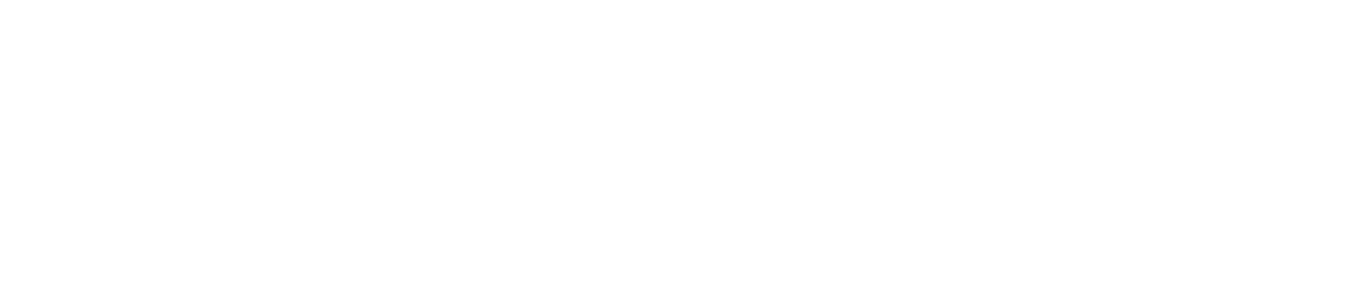 Expert Social Media & Influencer Marketing Services